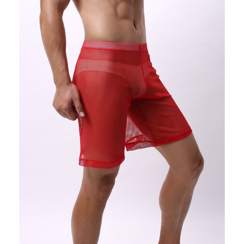 Low Rise Mesh Erotic Underwear - Trunk Breathable Men recensione e prezzo