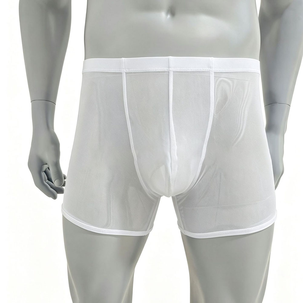Men Mesh See-through Ultra-thi - Long Leg Trunk Men recensione e prezzo