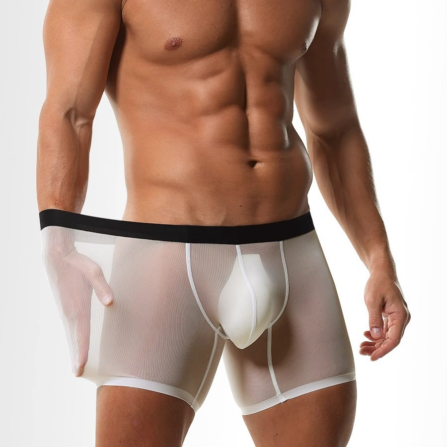 Mens Long Leg Boxer Shorts Ice - Long Leg Trunk Men recensione e prezzo